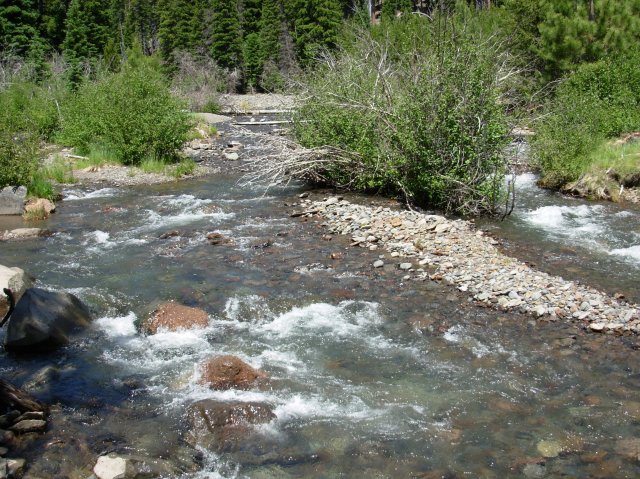 Summer '06 Sunriver 263 